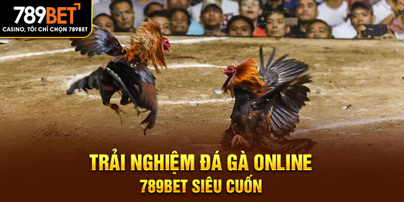 Trải nghiệm đá gà online 789BET siêu cuốn