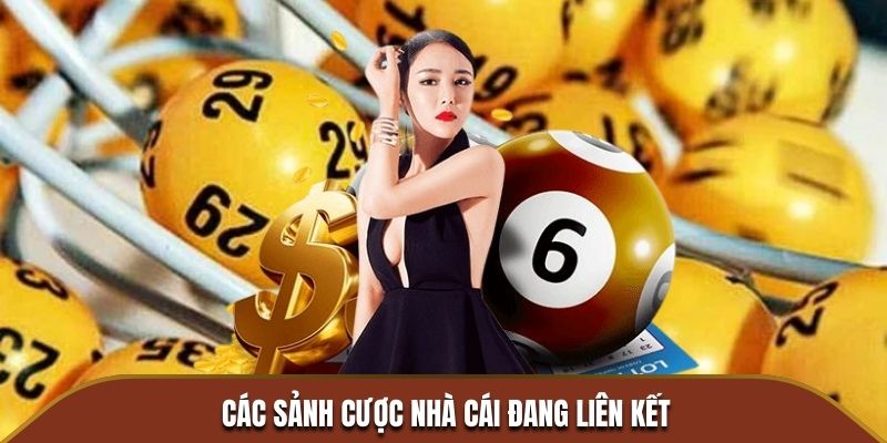 Các sảnh cược nhà cái đang liên kết